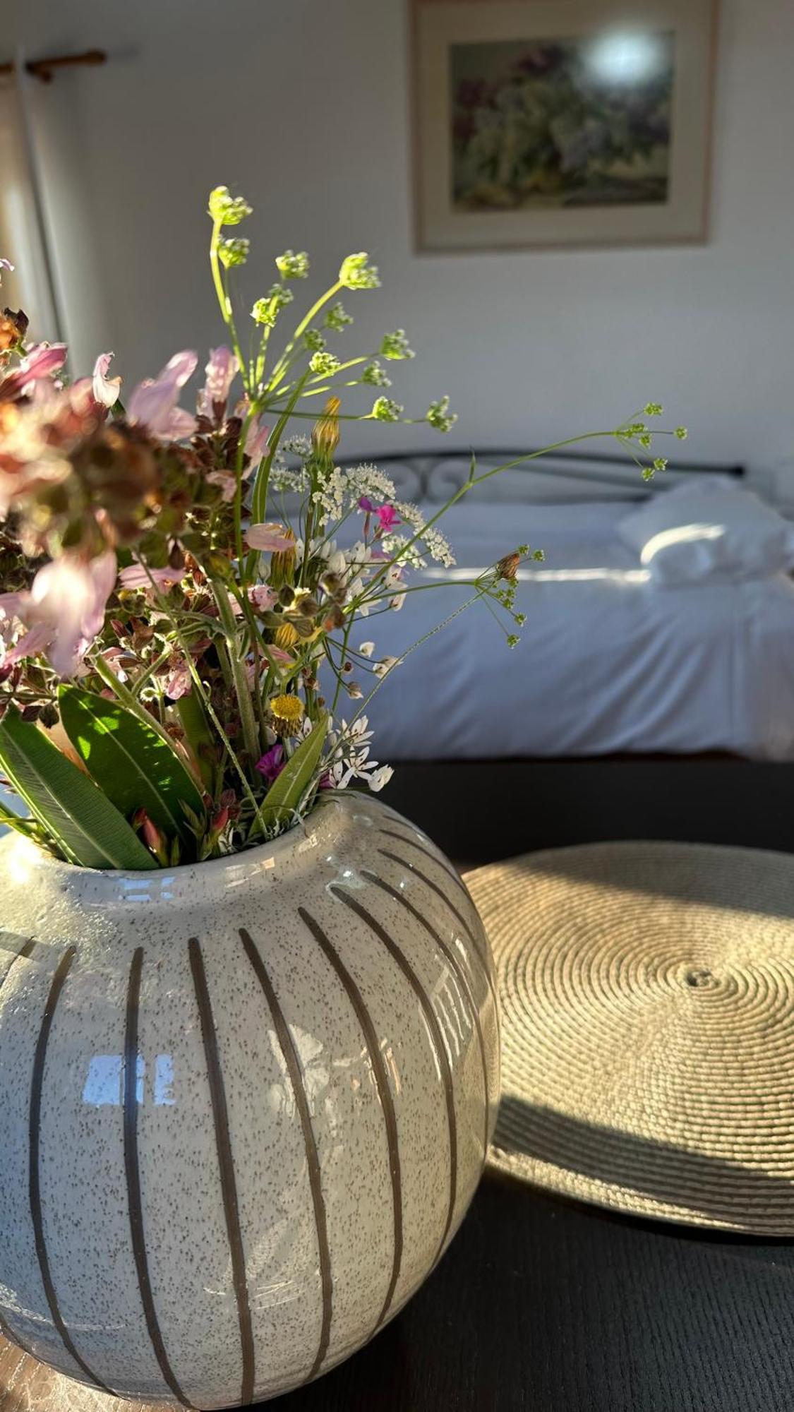 Papanestoras Apartments 카르다밀리 외부 사진